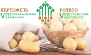 "Картофель-2016"