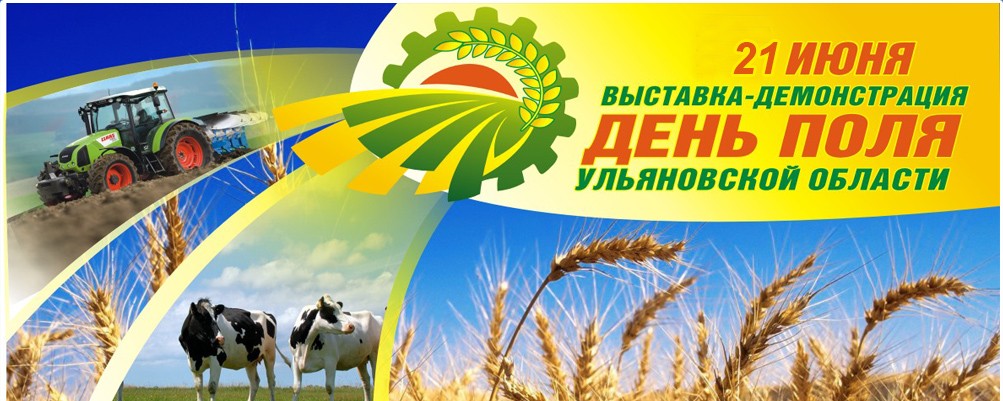 «День Поля Ульяновской области - 2015»
