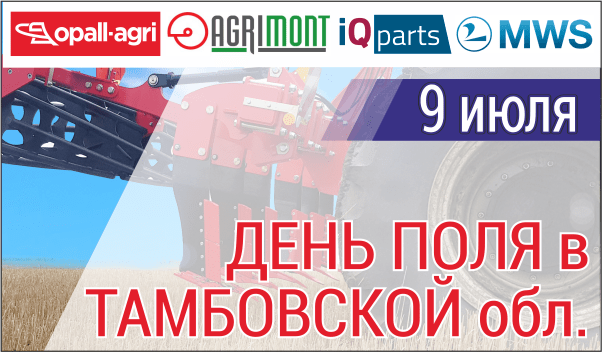 день поля