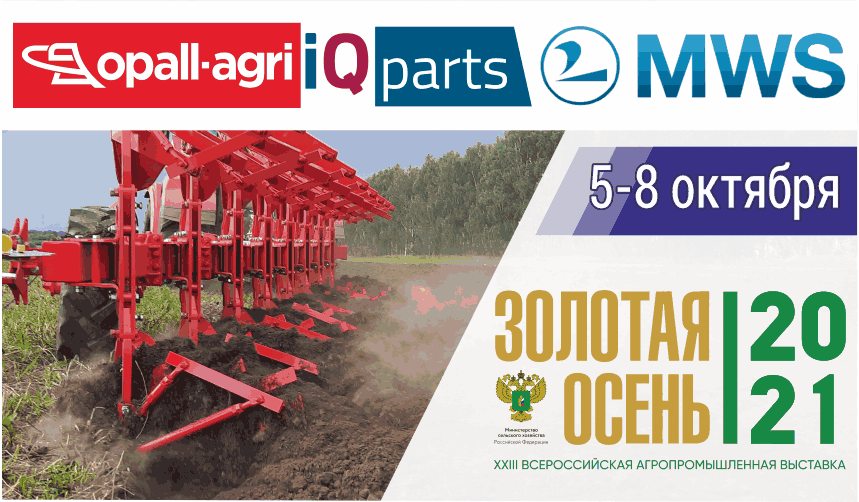 Золотая осень