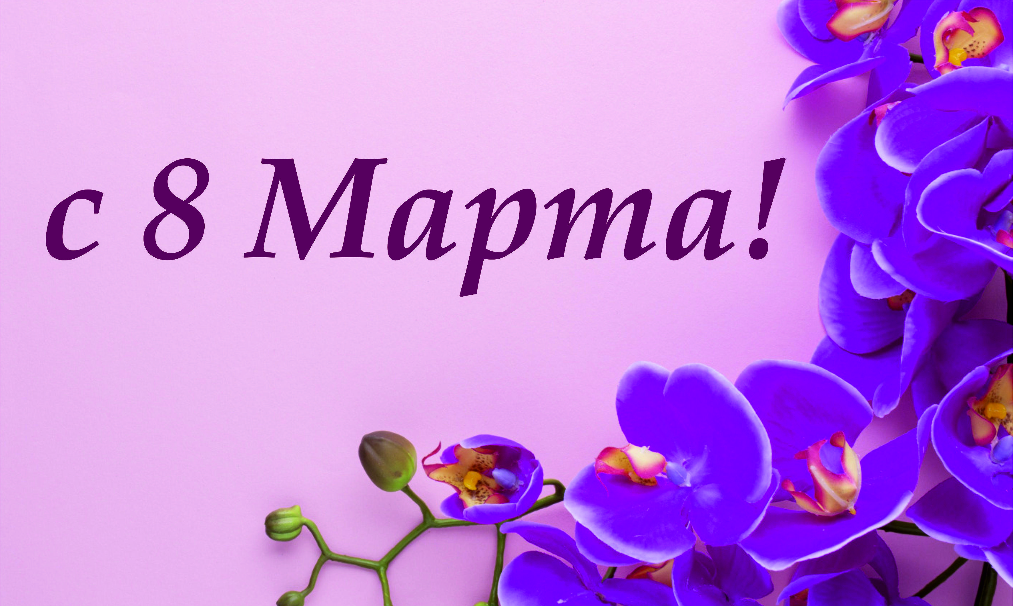 8 марта