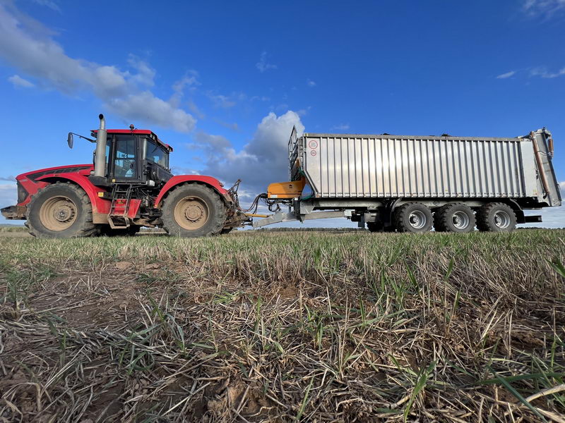 img_6176.1440x1440