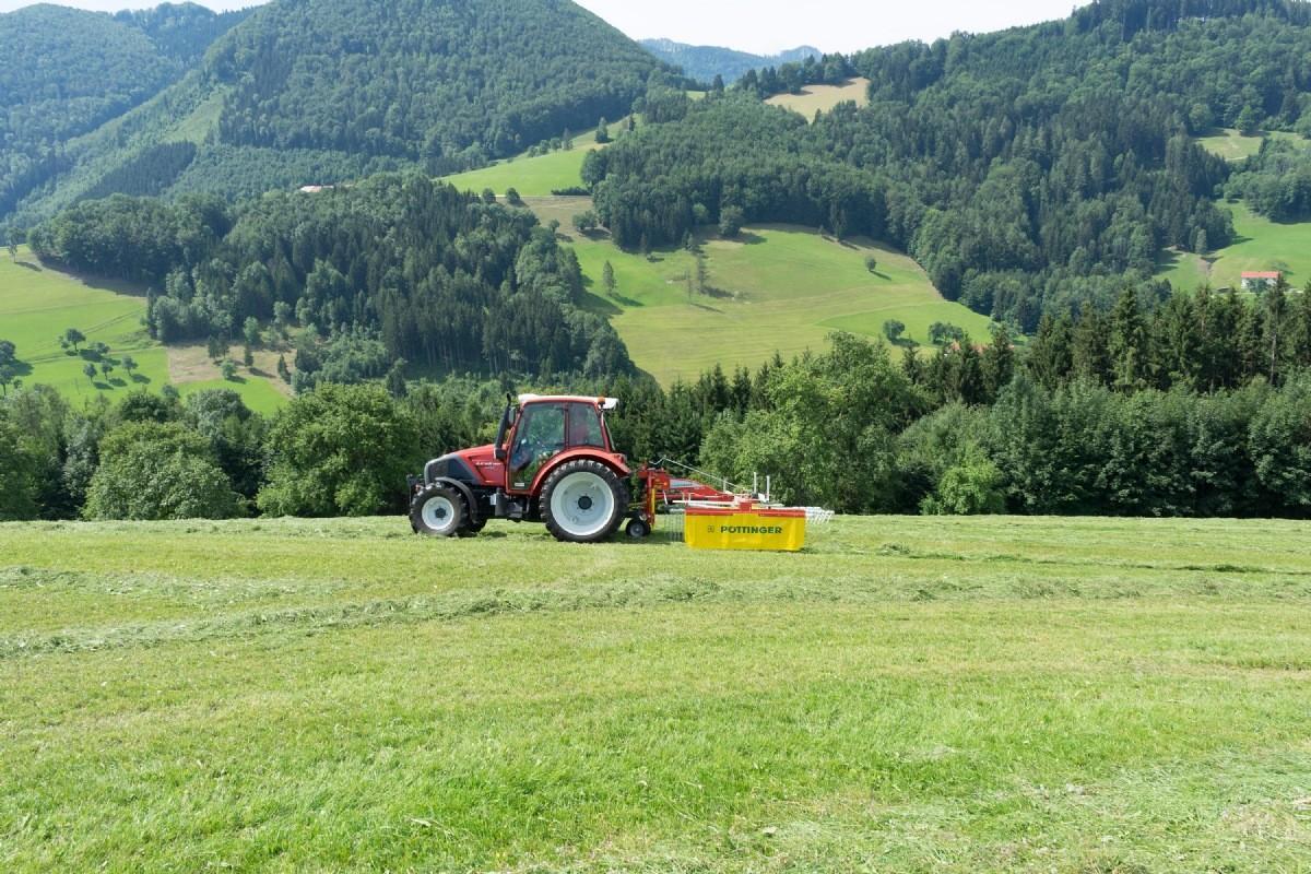 top_342_lindner